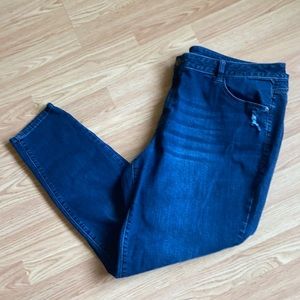 Lane Bryant Size 24 Venezia jeans